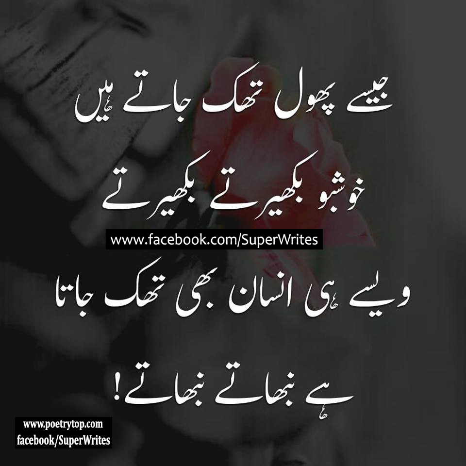Sad Quotes Urdu | "17 sad quotes in urdu about love and ...