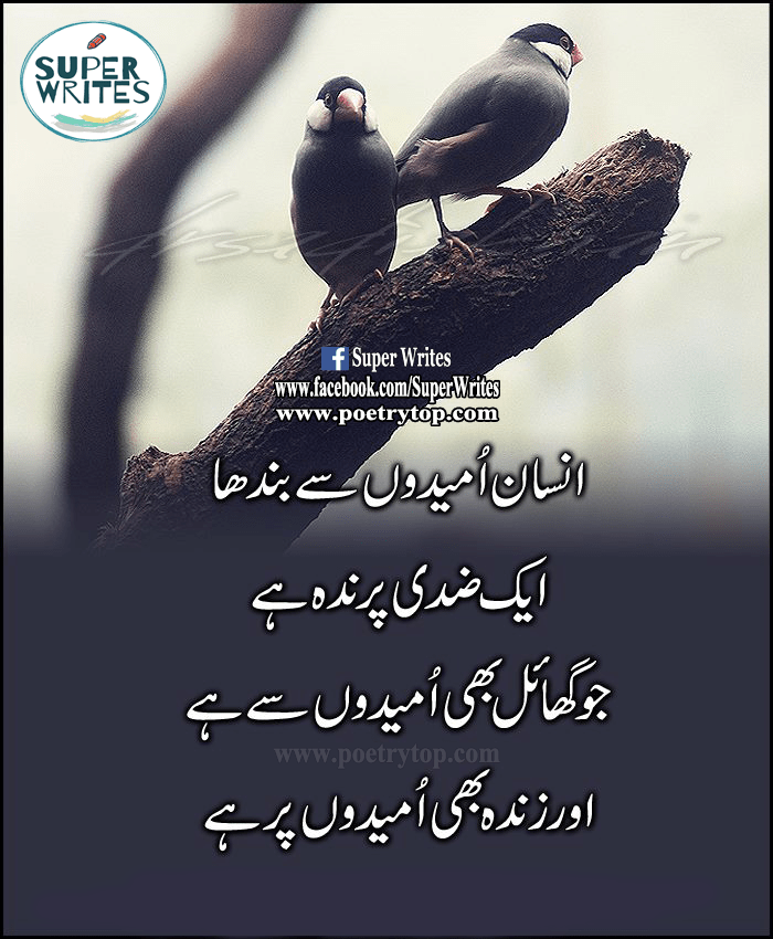 Life Quotes in Urdu (12)