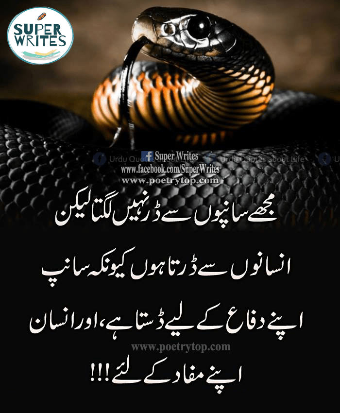 This is a Life Quote image in Urdu
