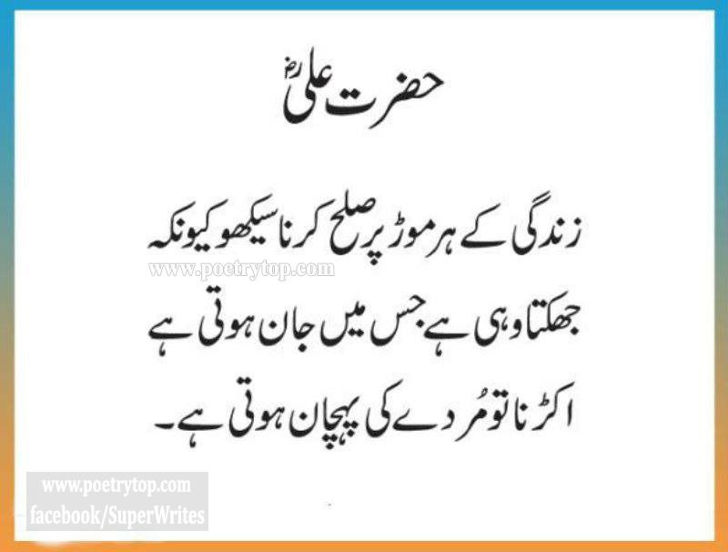 Hazrat Ali Quotes (25)