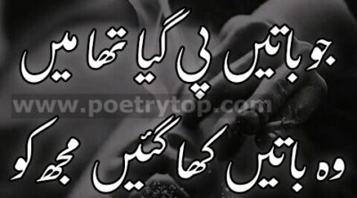 Sad Poetry in Urdu 2 Lines (10)