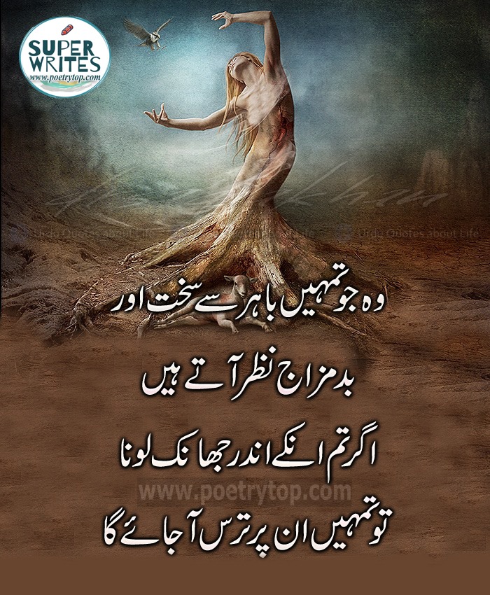 Amazing Quotes in Urdu (8)