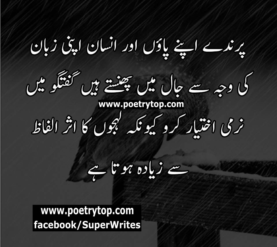 Advice Quotes in Urdu