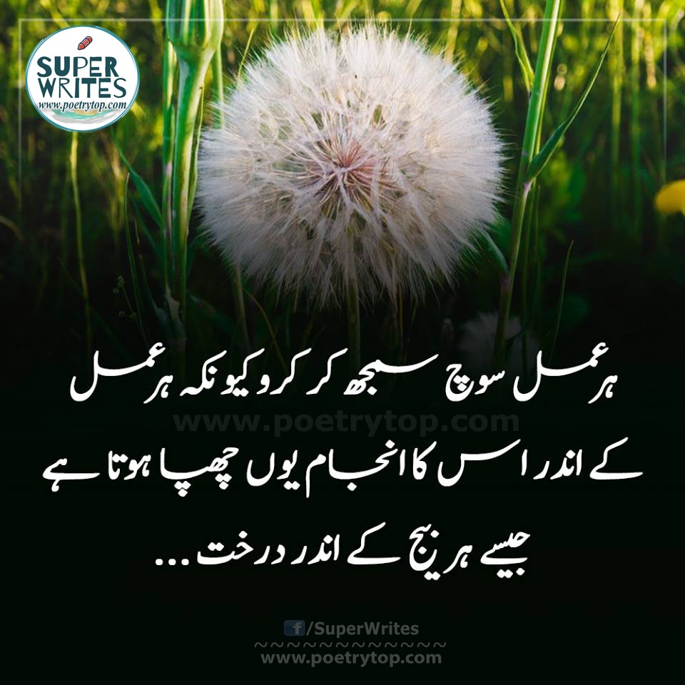 Famous Urdu Quotes